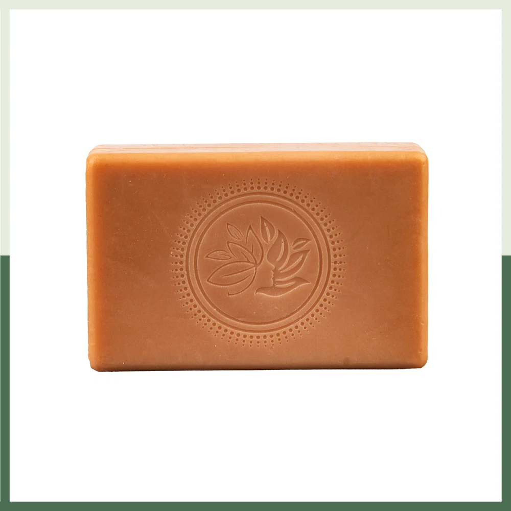 Naija Organics Aloe Vera & Mint Bath Soap (100 GM) (3 SOAPS)