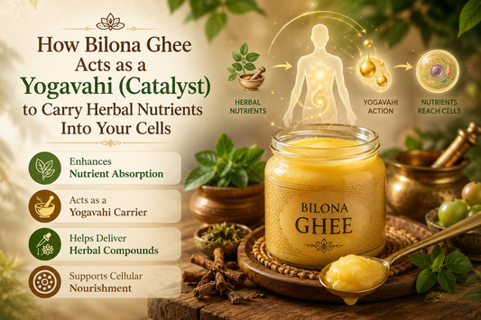 How Bilona Ghee Acts as a Yogavahi (Catalyst) to Carry Herbal Nutrients into Your Cells