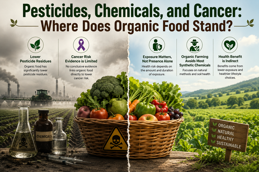Organic food and cancer prevention concept