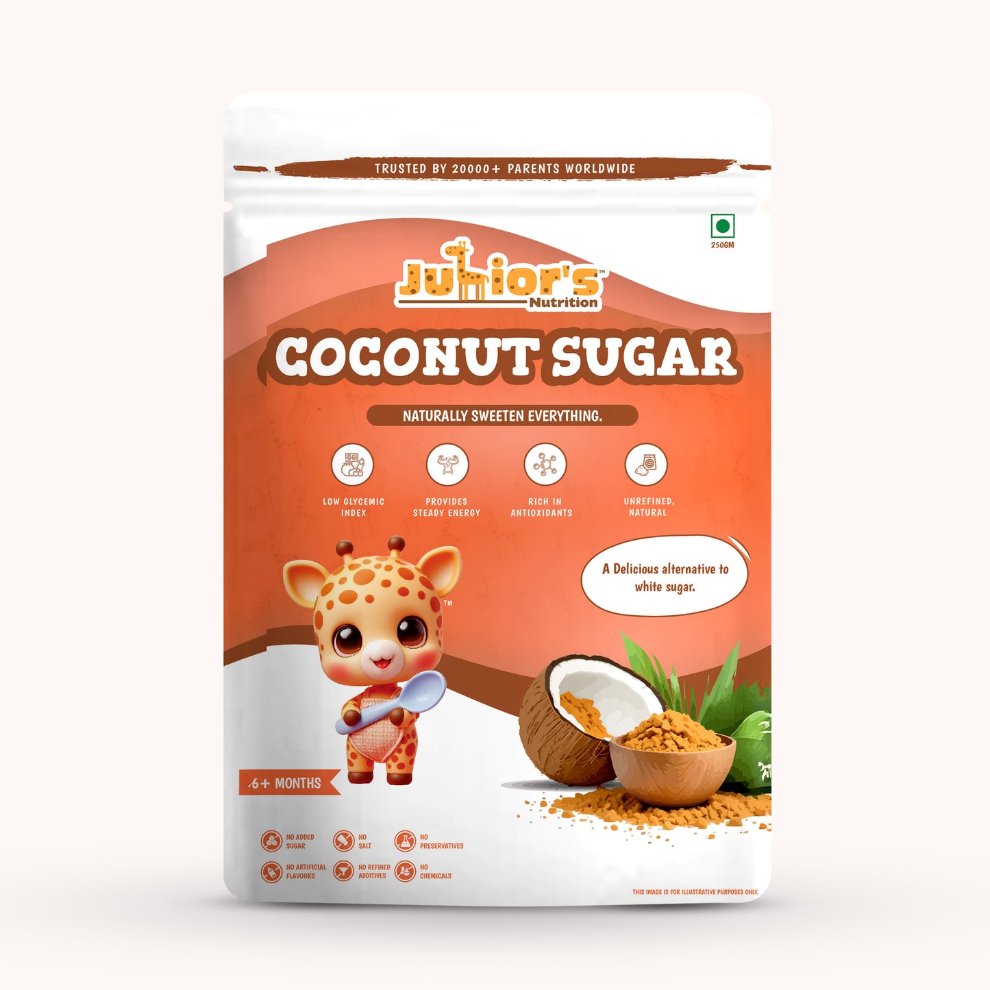 Junior's Nutrition Coconut Sugar (250 GM)