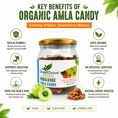 Green Grove Amla Candy Spicy (250 GM) (PACK OF 2)
