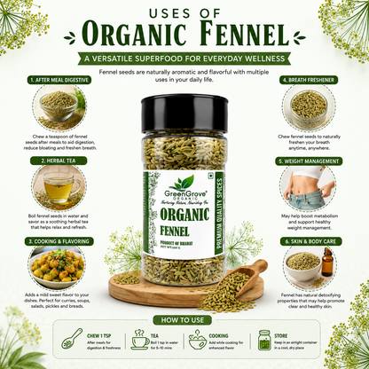 GreenGrove Organic Fennel (160 GM) (PACK OF 3)