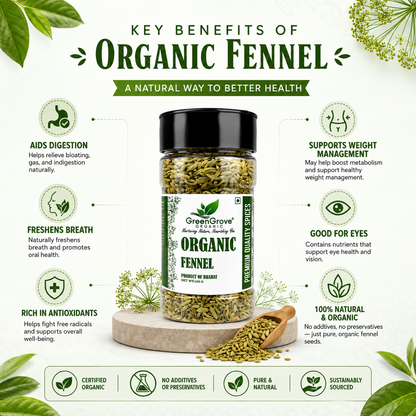 GreenGrove Organic Fennel (160 GM) (PACK OF 3)