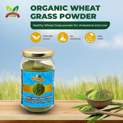 Gavyamart Organic Wheatgrass Powder (100 GM)