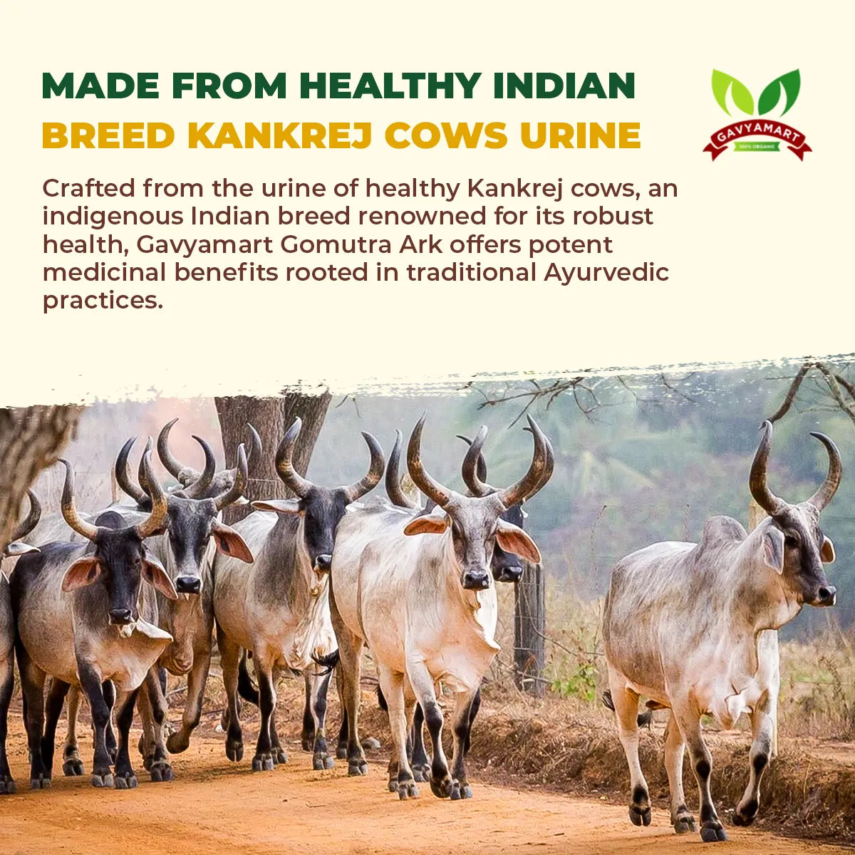 Gavyamart Kankrej Cow Gomutra Ark (500 ML)