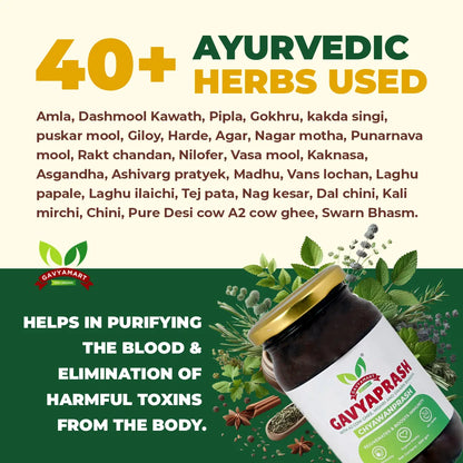Gavyamart Gavyaprash – Limited Edition Chyawanprash (500 GM)
