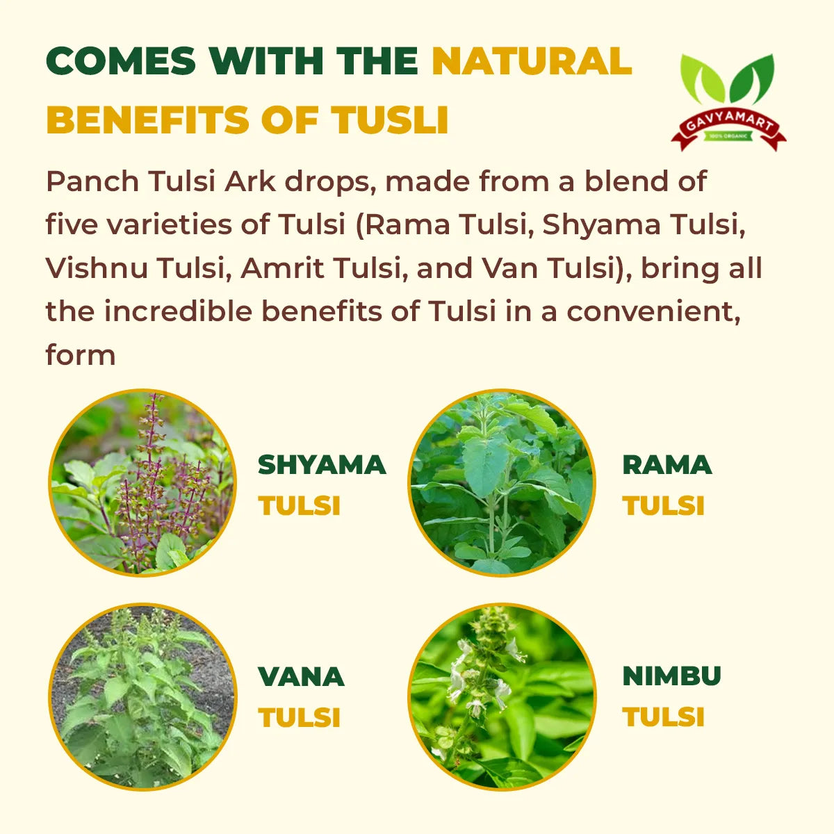 Gavyamart Panch Tulsi Ark Drops (20 ML)