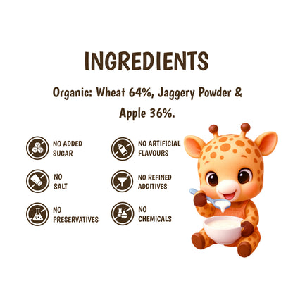Junior's Nutrition Instant Wheat Apple Mix (250 GM)