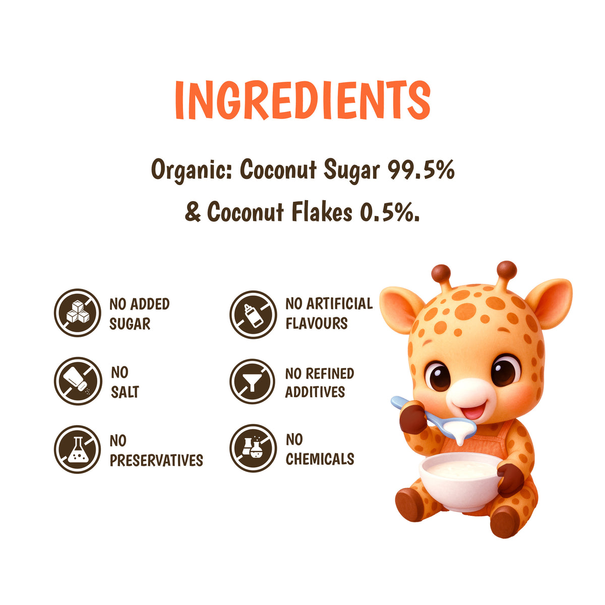 Junior's Nutrition Coconut Sugar (250 GM)