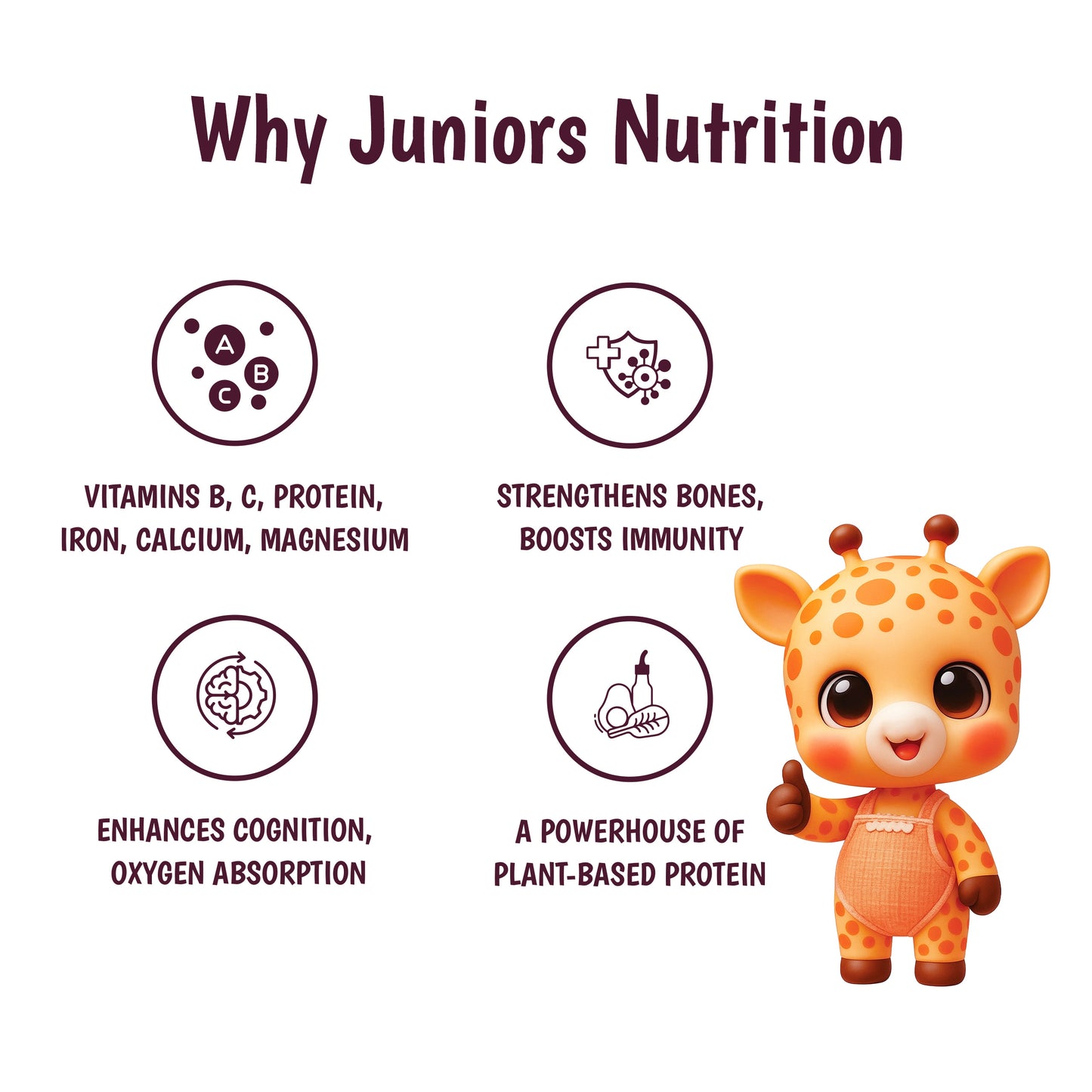 Junior's Nutrition Millet Pancake Mix