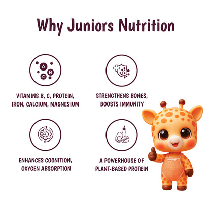 Junior's Nutrition Millet Pancake Mix
