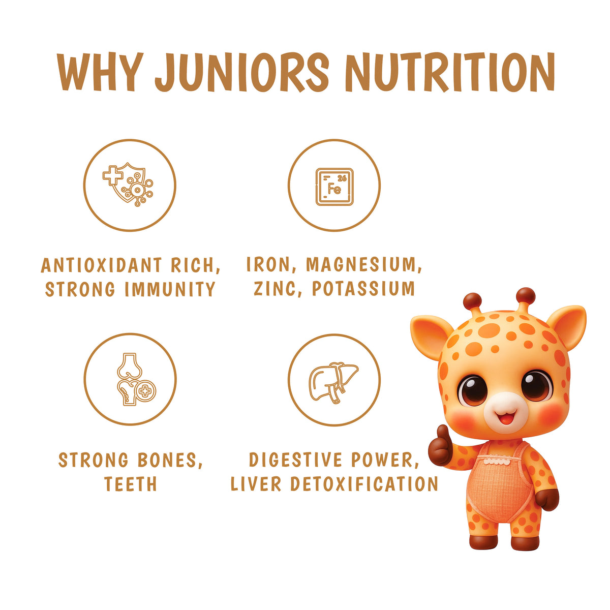 Junior's Nutrition Dates Powder (250 GM)