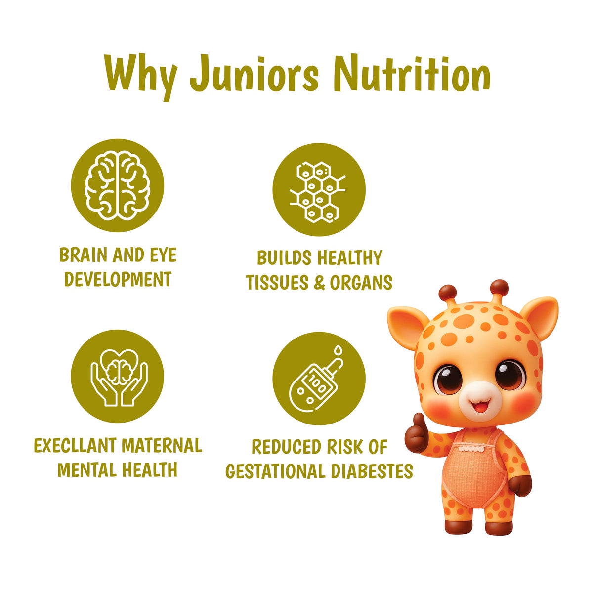 Junior's Nutrition Trimester 123 (500 GM)