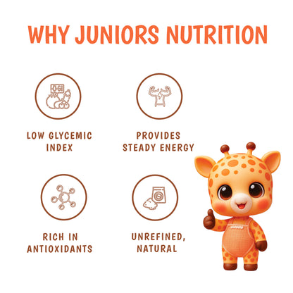Junior's Nutrition Coconut Sugar (250 GM)
