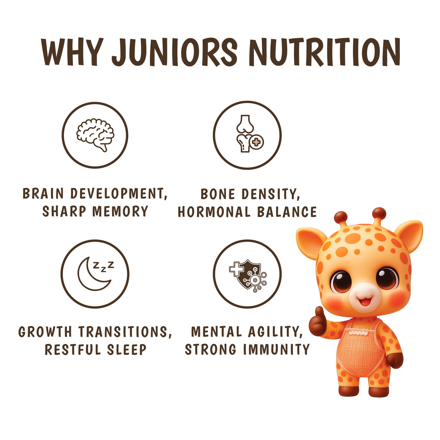 Junior's Nutrition Dry Fruit Powder (250 GM)
