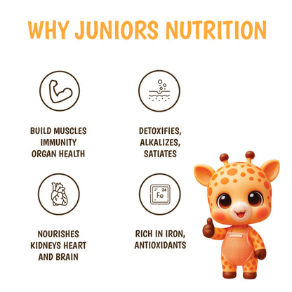 Junior's Nutrition Instant Poha Mix (250 GM)