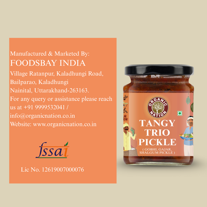 Organic Nation Tangy Trio Pickle (Khatta Meetha Pickle) (250 GM)