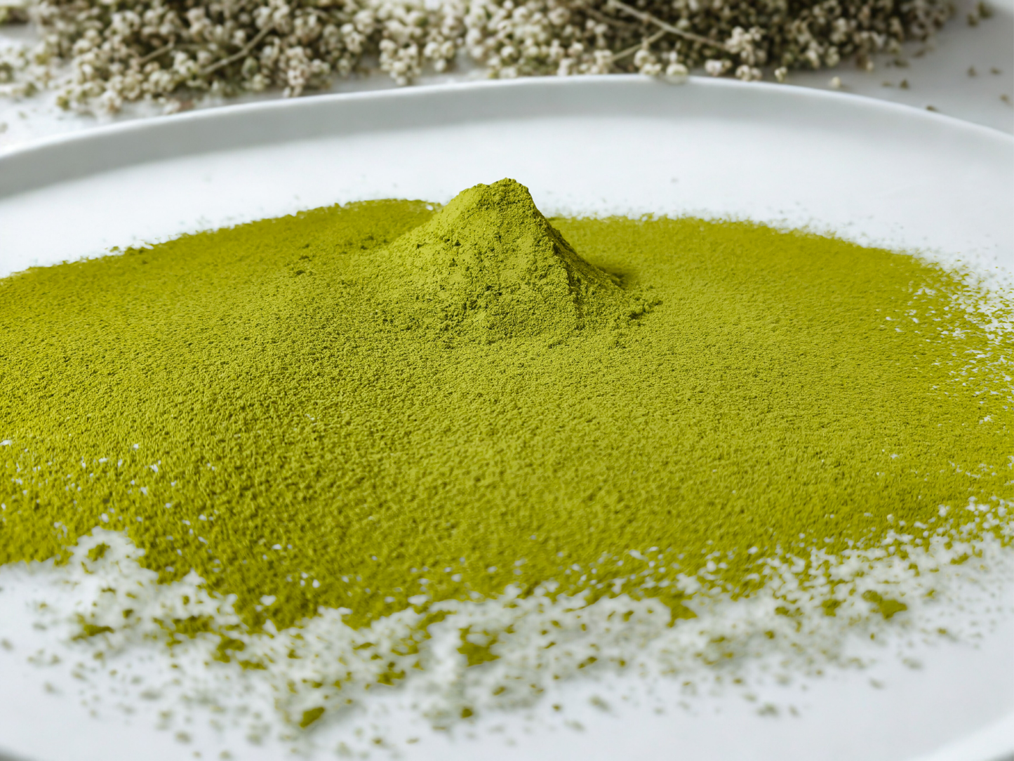 Orgo All-Natural Moringa Powder (100 GM)