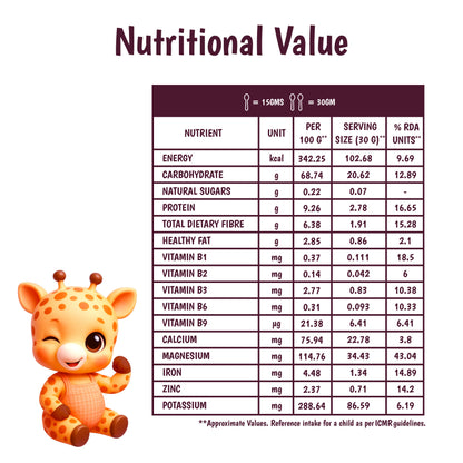 Junior's Nutrition Millet Pancake Mix