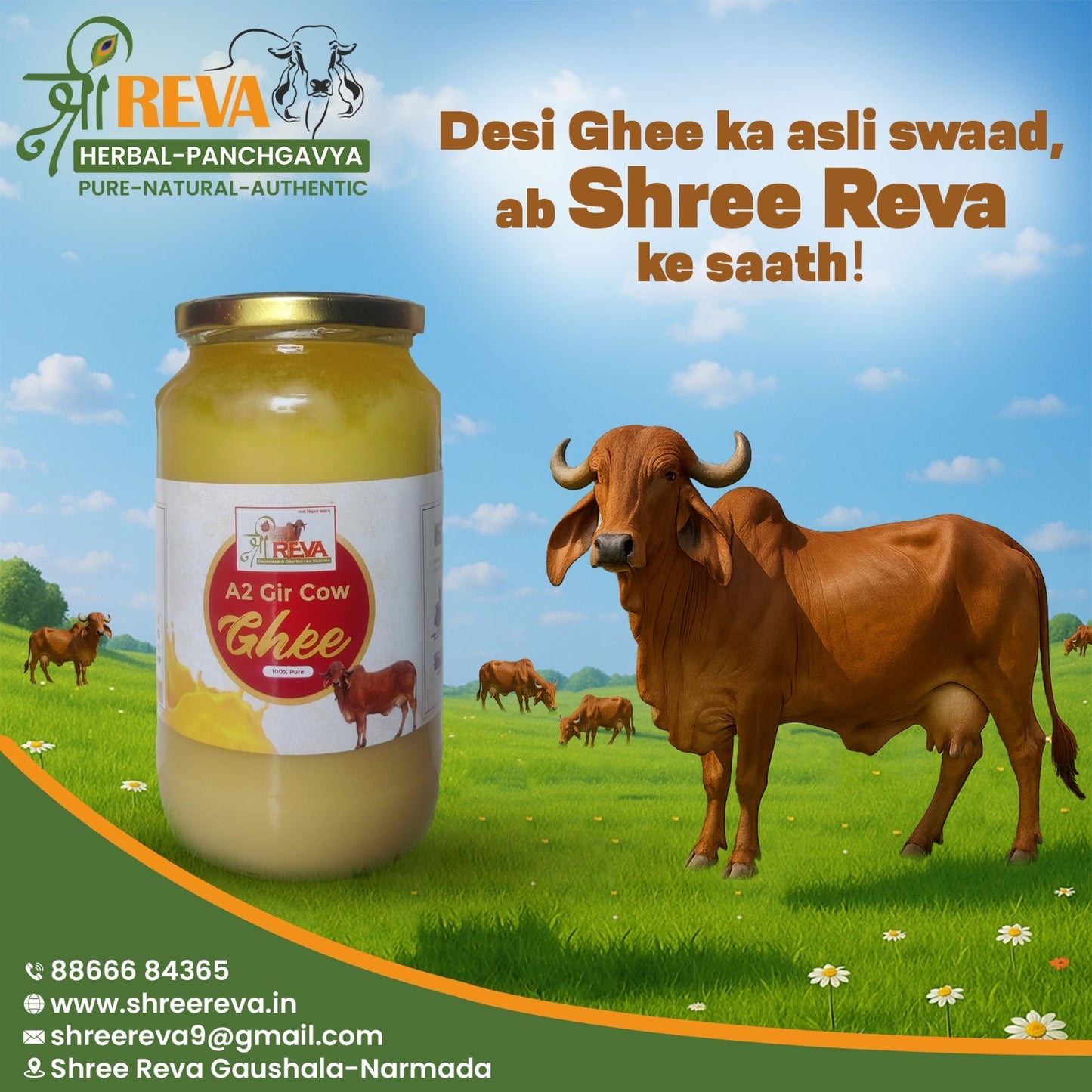 Shree Reva A2 Gir Cow Ghee