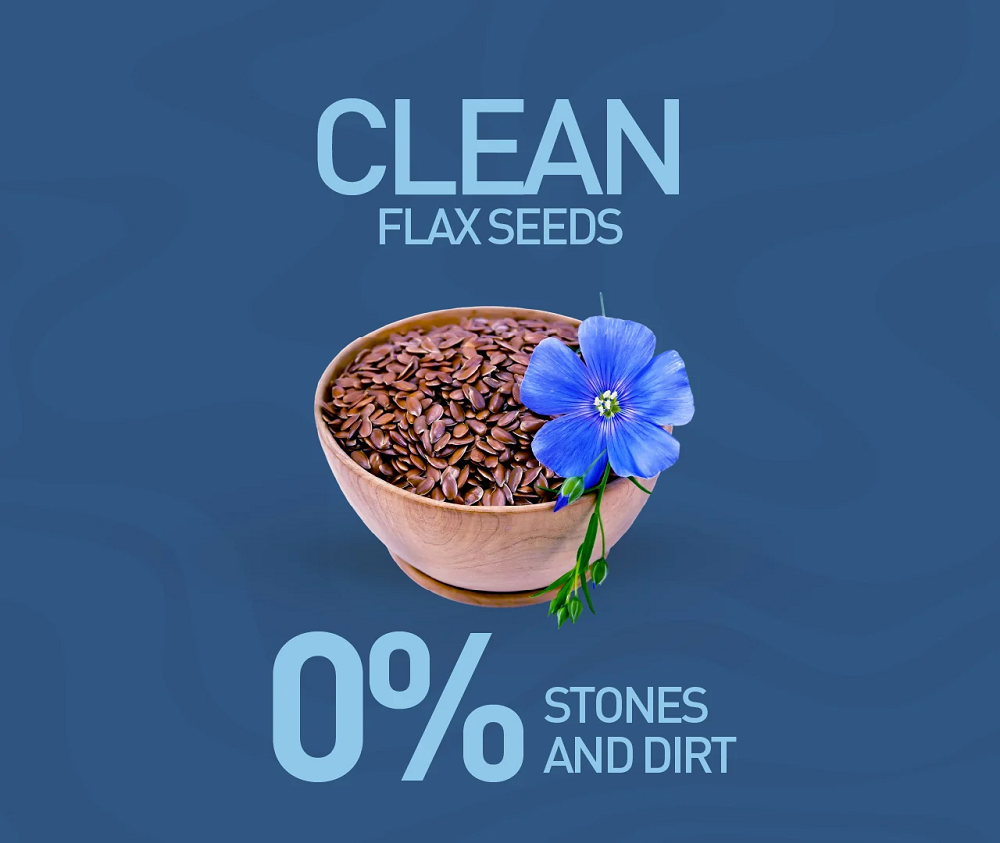 Nourish Organics Active Flax Seeds (500 GM)