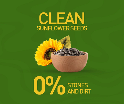 Nourish Organics Active Sunflower Seeds (400 GM)