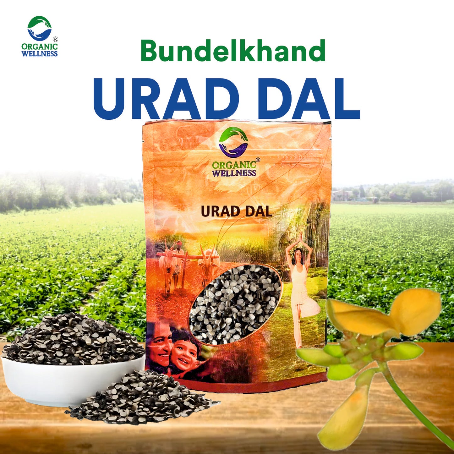 Organic Wellness Urad Dal Split