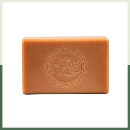 Naija Organics Aloe Vera & Mint Bath Soap (100 GM) (3 SOAPS)