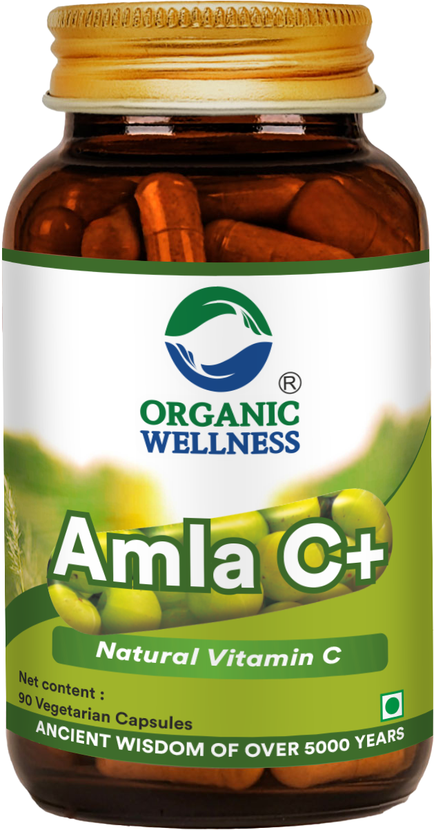 Organic Wellness Amla C+ 90 Capsules