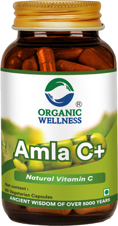 Organic Wellness Amla C+ 90 Capsules
