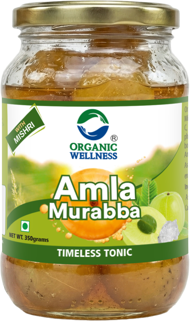 Organic Wellness Amla Murabba (350 GM)