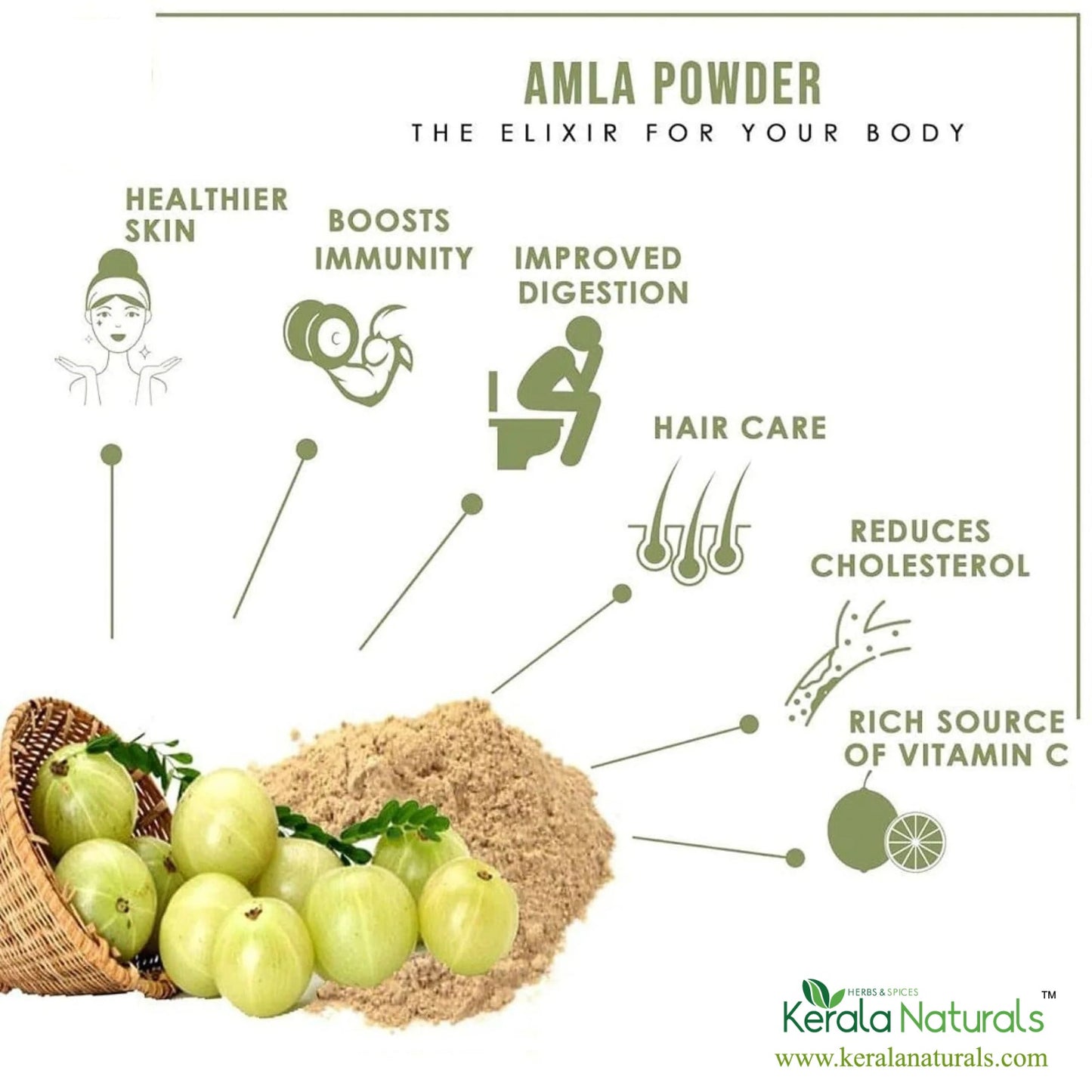 Kerala Naturals Amla Powder (100 GM)