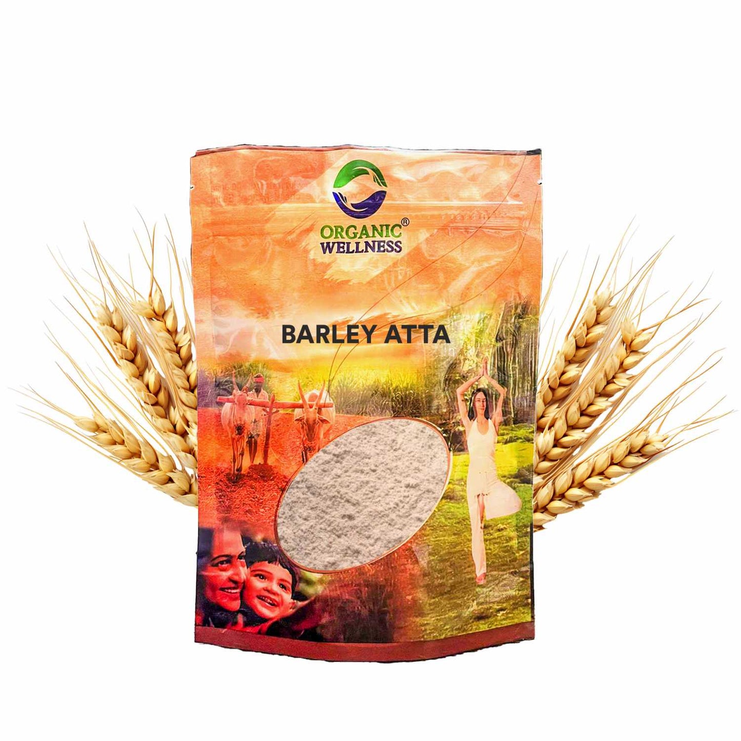 Organic Wellness Barley Atta (450 GM)