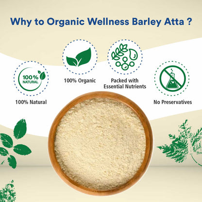 Organic Wellness Barley Atta (450 GM)