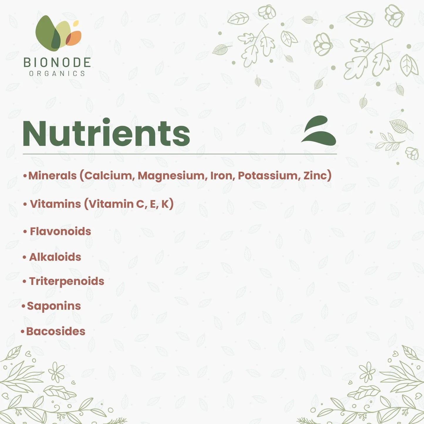 Bionode Organic Brahmi Powder (100 GM)