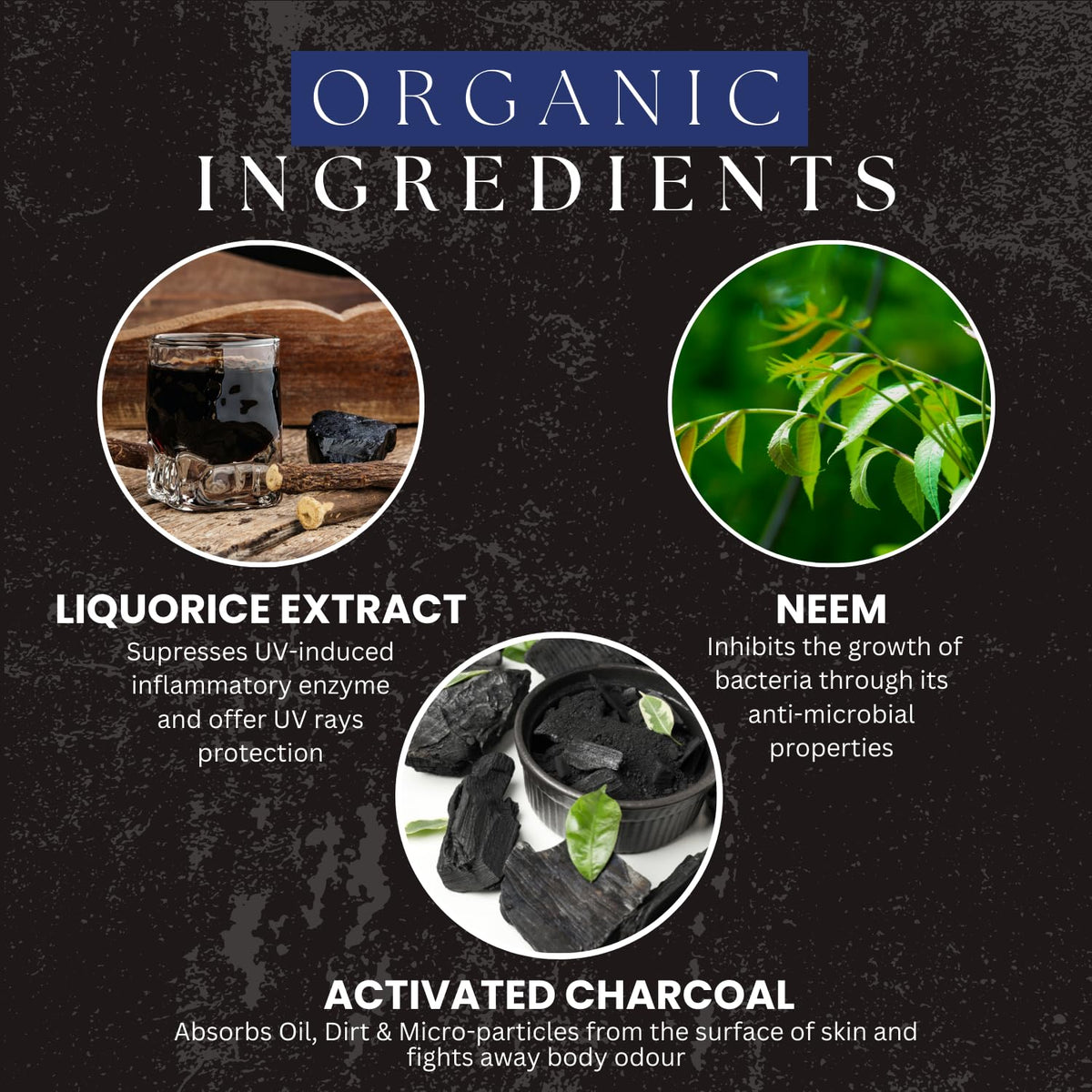 Amazing Earth Organic Charcoal Body Wash (100 GM)