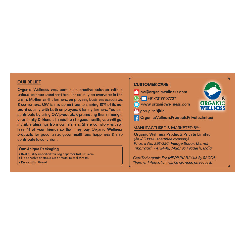 Organic Wellness Cinnamon Cleanse Tea