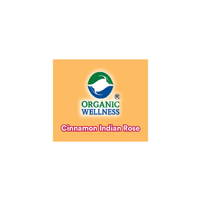 Organic Wellness Cinnamon Indian Rose Tea