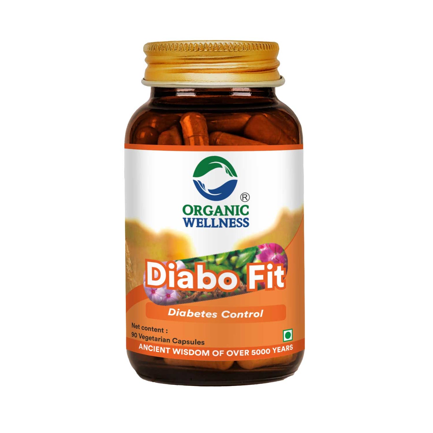 Organic Wellness Diabo Fit 90 Capsules