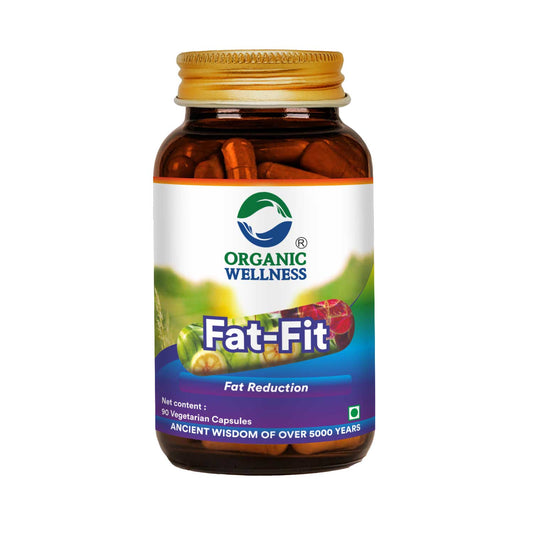 Organic Wellness Fat Fit  90 Capsules