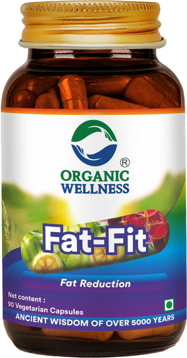 Organic Wellness Fat Fit  90 Capsules