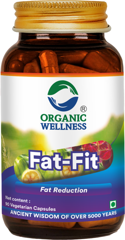 Organic Wellness Fat Fit  90 Capsules