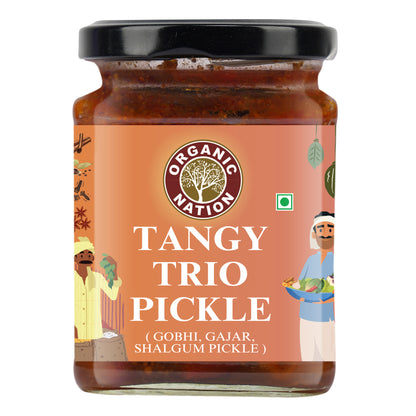 Organic Nation Tangy Trio Pickle (Khatta Meetha Pickle) (250 GM)