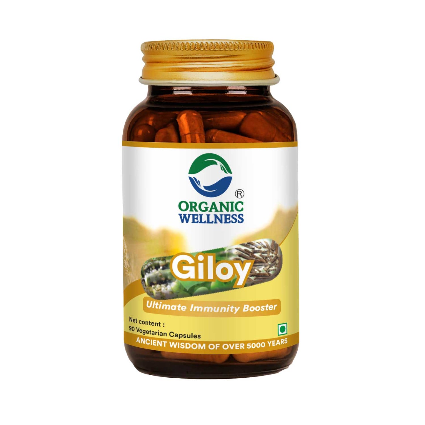 Organic Wellness Giloy 90 Capsules