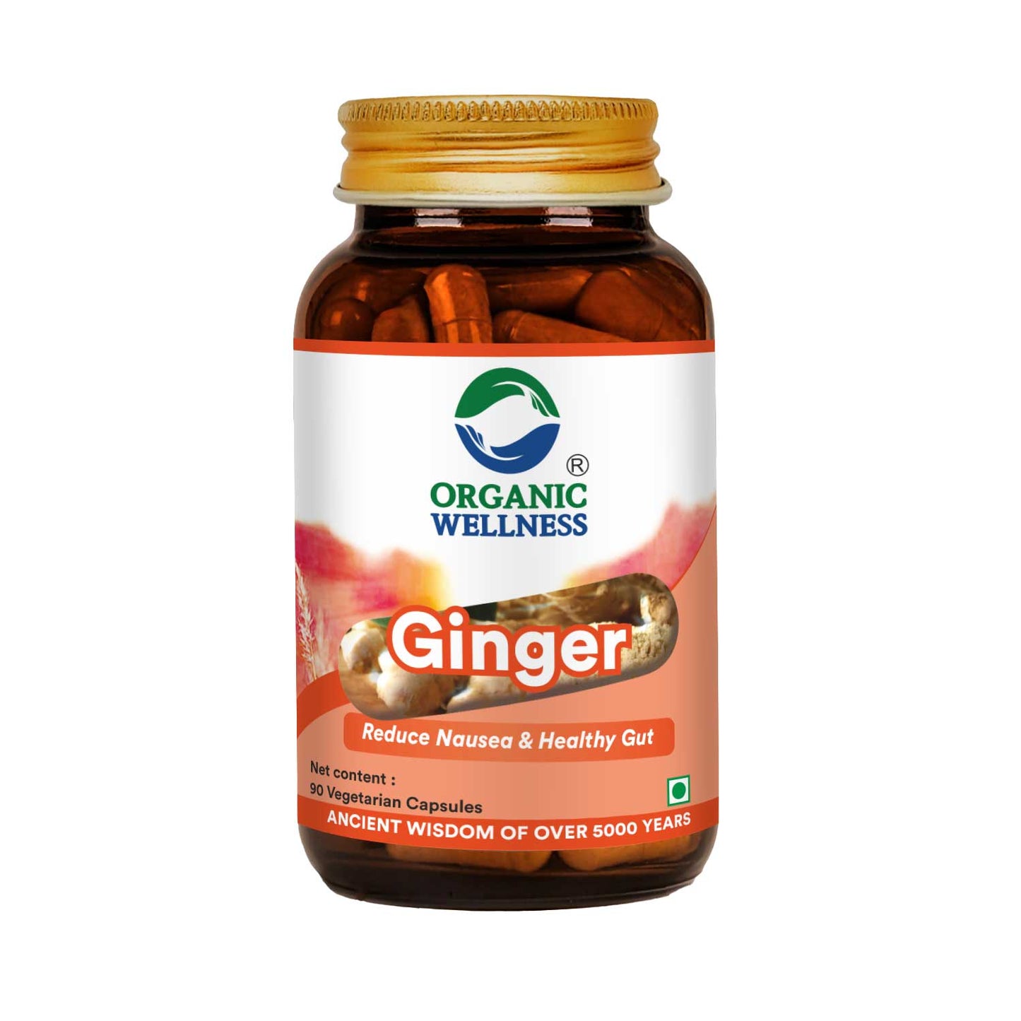 Organic Wellness Ginger 90 Capsules