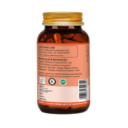 Organic Wellness Ginger 90 Capsules