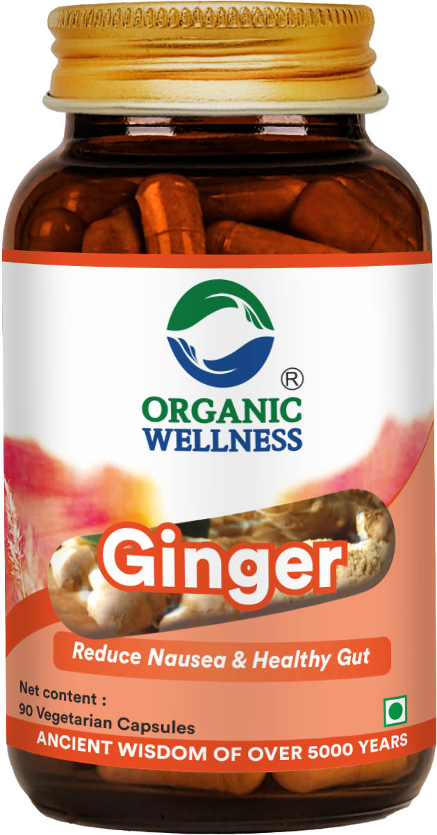 Organic Wellness Ginger 90 Capsules