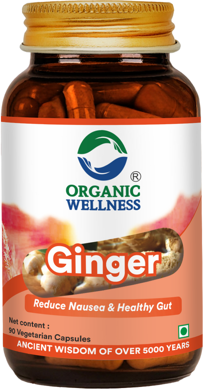 Organic Wellness Ginger 90 Capsules