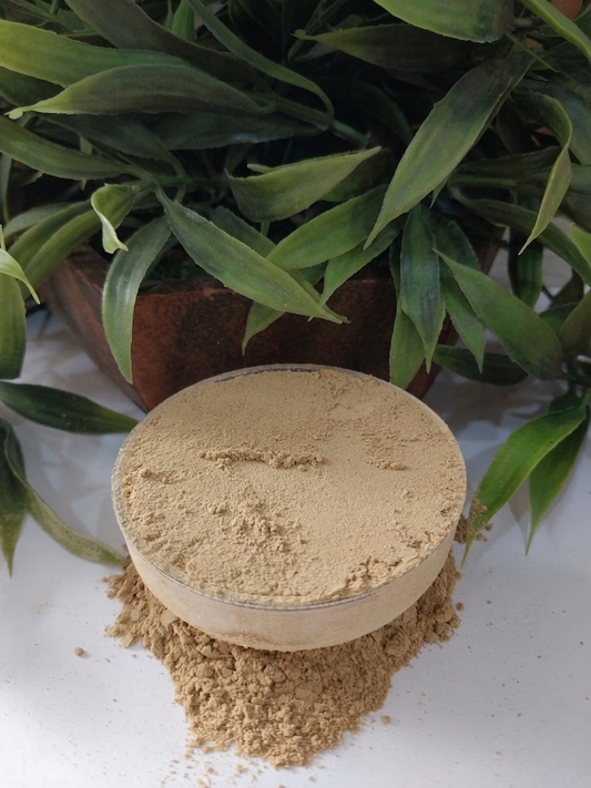 Adidev Organic Farm Organic Ginger Powder