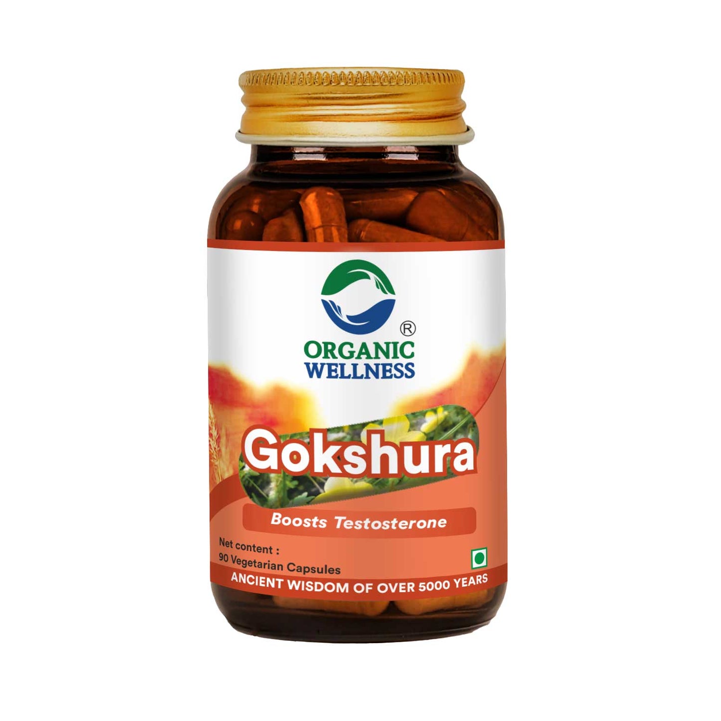 Organic Wellness Gokhshura 90 Capsules